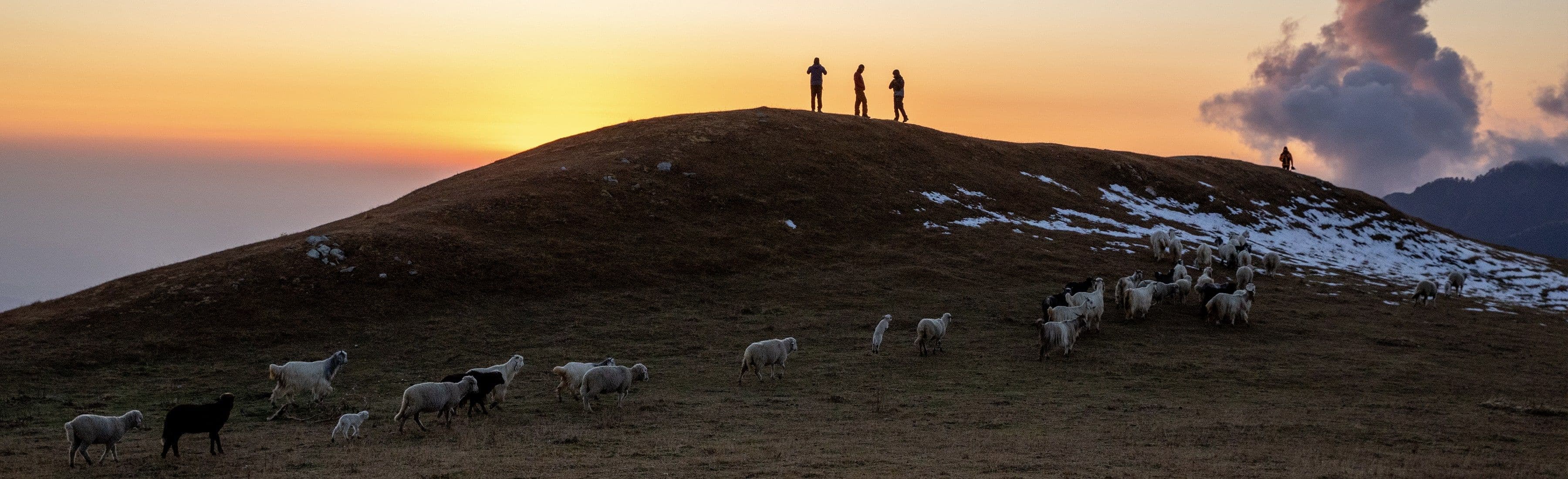 paramotor hero image