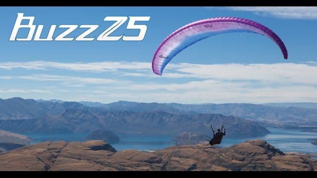 The OZONE Buzz Z5