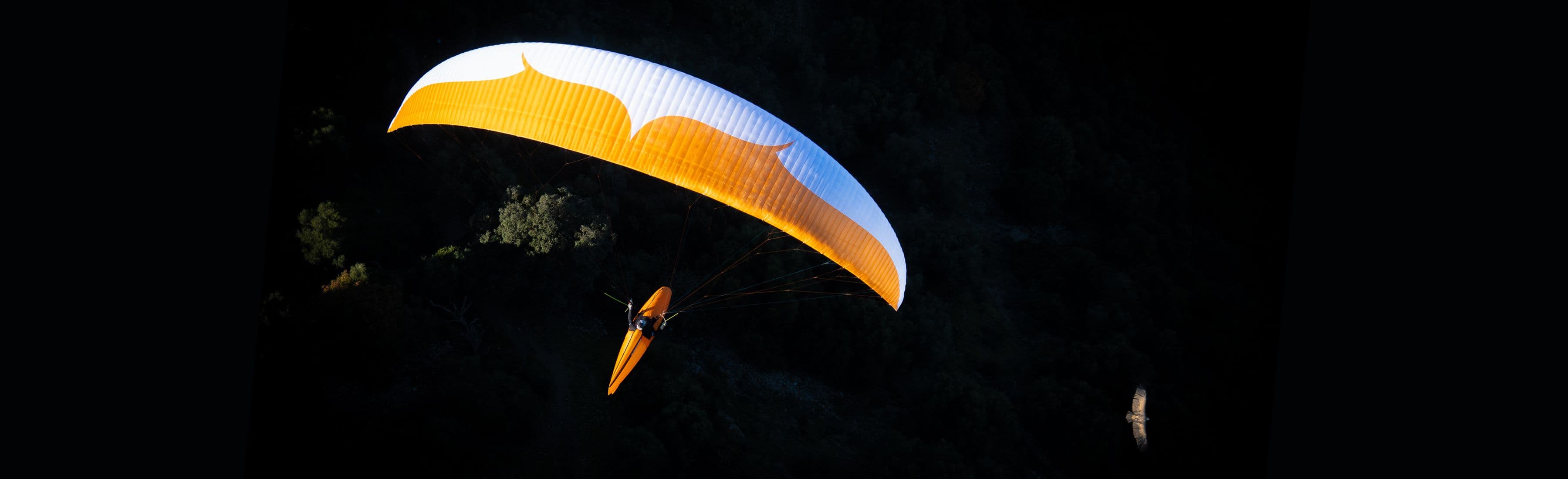 paragliders hero image